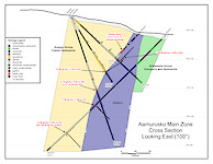 Aamurusko Cross Section